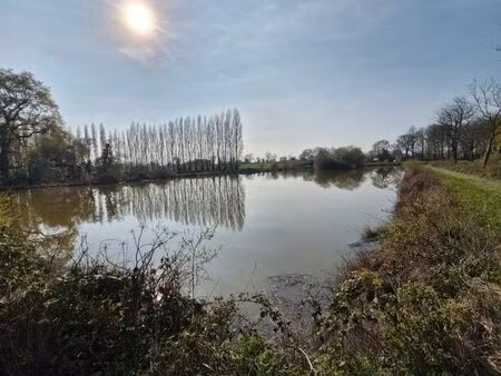 location d'un etang de 8000m2 sur terrain de 15000m2