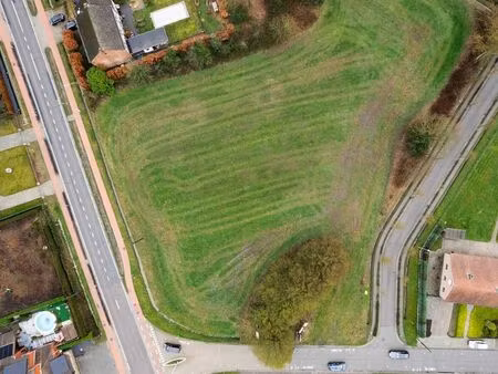 terrain à vendre à herselt € 156.500 (lmfkb) - heylen vastgoed - leuven | zimmo