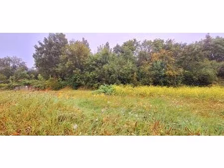 terrain constructible à vendre