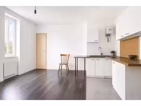 vente appartement 3 pièces 46 m² à nivolas-vermelle (38300)  86 500 €