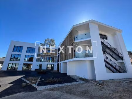 nexton immobilier