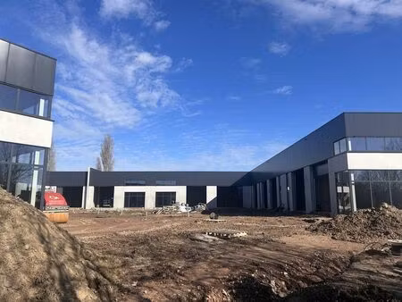 bien professionnel à louer à zwevezele € 695 (lmegv) | zimmo