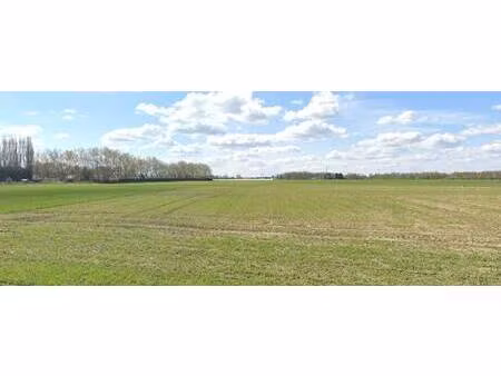 terrain constructible viabilisé à vendre