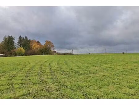 terrain constructible viabilisé à vendre