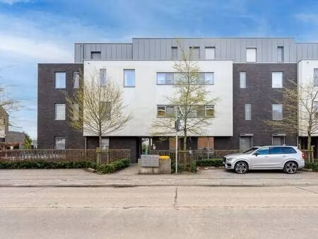 appartement à louer à betekom € 1.000 (lmg0d) - homixx vastgoed haacht | zimmo