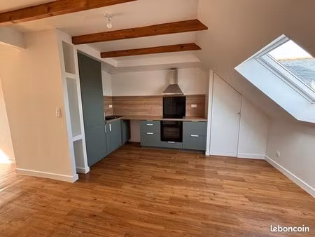 appartement duplex - 40 m² loi carrez (60 m² au sol)