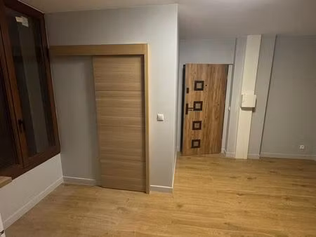 grand studio rénové palaiseau 20-25m²