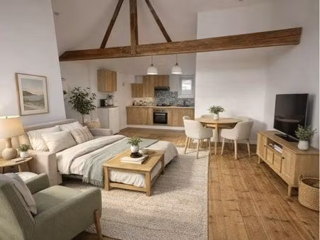 studio 45 m2 refait à neuf