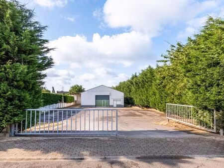 bien professionnel à louer à koksijde € 1.500 (lmeds) - immo europe koksijde | zimmo