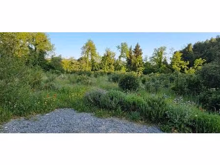 terrain constructible viabilisé à vendre