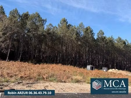 terrain constructible viabilisé à vendre