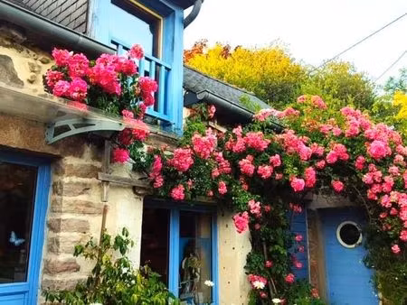 excellente location pour le mois d'avril & mai 2026