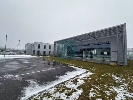 monsieur paul mourier