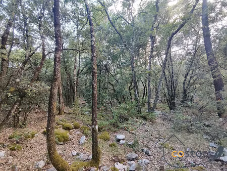 terrain chateaudouble 2430 m2