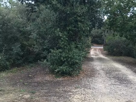 vente terrain de loisirs 1 560 m²