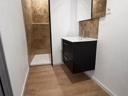 charmant appartement refait a neuf