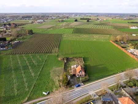 terrain à vendre à emblem € 349.000 (lmg52) - immo patio | zimmo