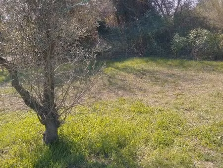 location parcelle caravane