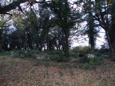 gard villevieille terrain agricole