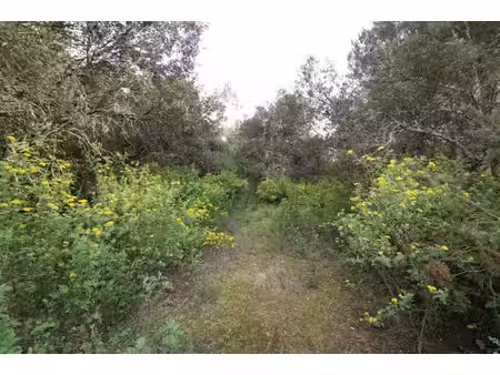 terrain constructible 400 m2.