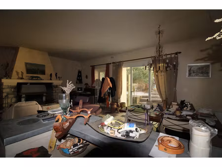 maison de village 175 m2 / celliers 160 m2 + jardinet 100m2.