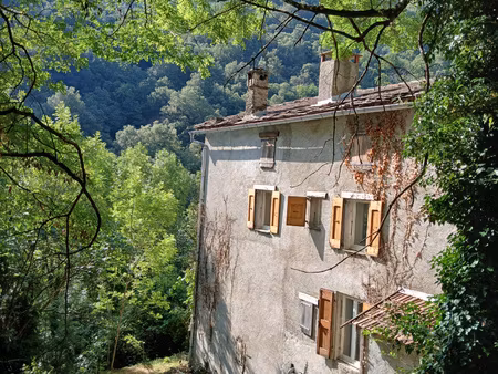 mas 360 de volume + 25 hectares.