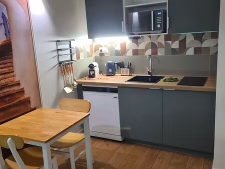 appartement t1 meuble entierement renove - centre ville lyon -rue romarin