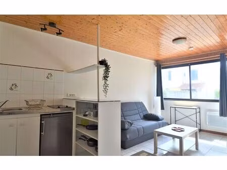 location appartement  m² t-1 à pau  370 €