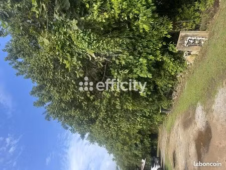 terrain 1 934 m² matoury