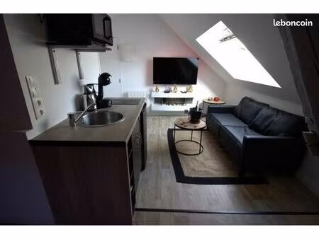 joli appartement sous les toits