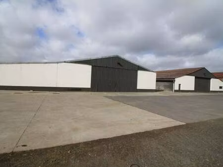 bien professionnel à louer à handzame € 955 (lmgce) - image immo bvba | zimmo