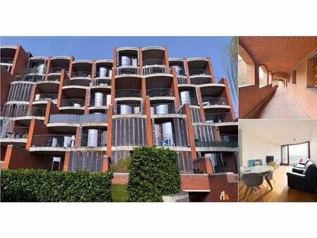 appartement à louer à rue chauve-souris 62 liège (vbe01695)