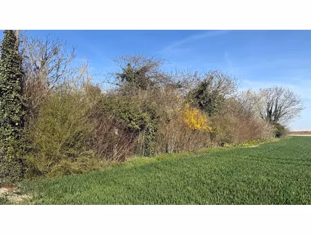 vente terrain 600 m² à romilly-sur-seine (10100)  26 000 €