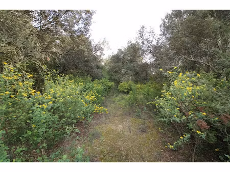 vente terrain 1000 m² à saumane (30125)  35 000 €