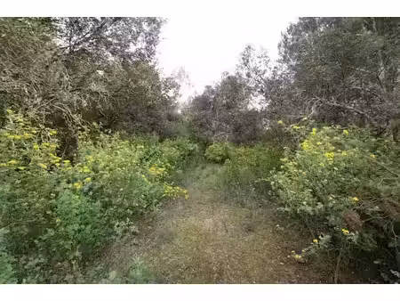 vente terrain 400 m² à saumane (30125)  35 000 €