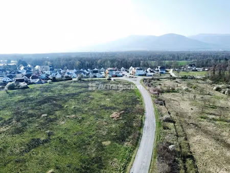 vente terrain 352 m² à staffelfelden (68850)  77 440 €