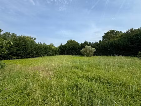 vente terrain 1373 m² à saint-papoul (11400)  65 500 €