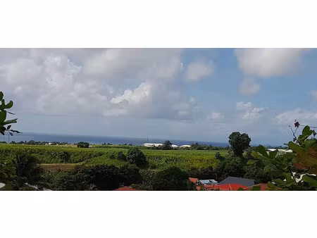 vente terrain à batir 507 m² à capesterre belle eau (97130)  65 400 €