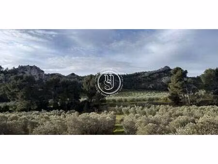 maison saint-rémy-de-provence (13)