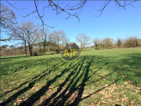 vente terrain 4184 m² pierric (44290)