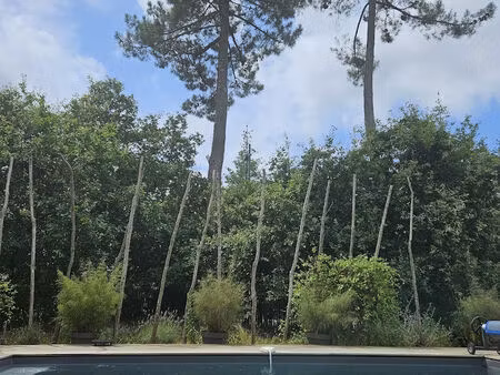 vente maison 7 pièces 233 m² lège (33950)