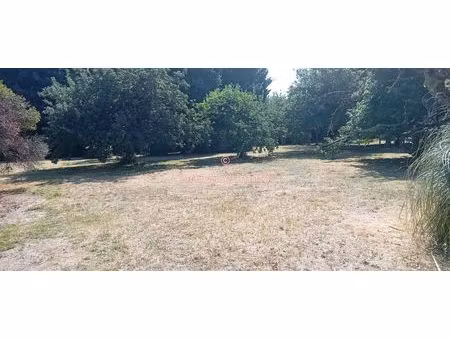 a 5 minutes de cinq mars la pile  sur la commune de mazières de touraine  venez découvrir 