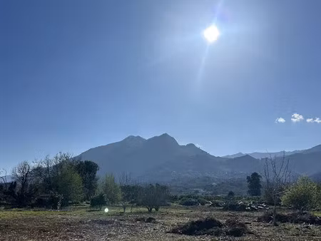 vente terrain 613 m² à santa-lucia-di-moriani (20230)  97 000 €