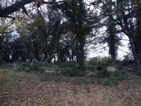 vente terrain 40443 m² à villevieille (30250)  109 000 €