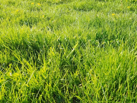 vente terrain 860 m² à groix (56590)  289 800 €