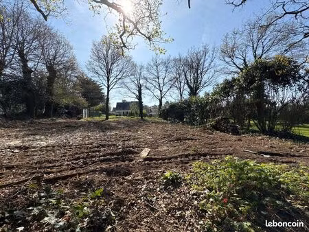 terrain 1233 m² guemene-penfao