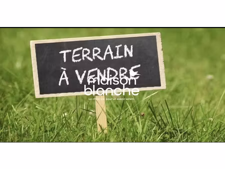 vente terrain 3951 m² à saint-ciers-d'abzac (33910)  95 500 €