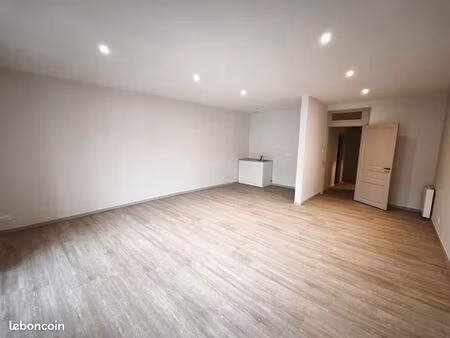 studio 1 pièce 45 m²