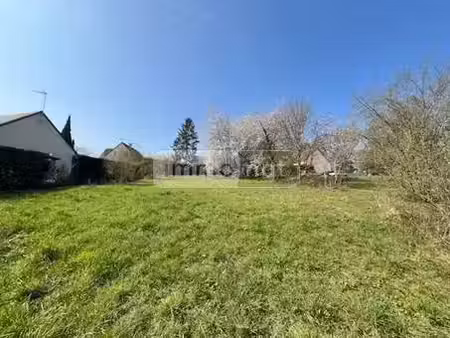 vente terrain à batir 1329 m² à chargé (37530)  90 000 €
