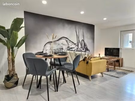 appartement meublé à albi